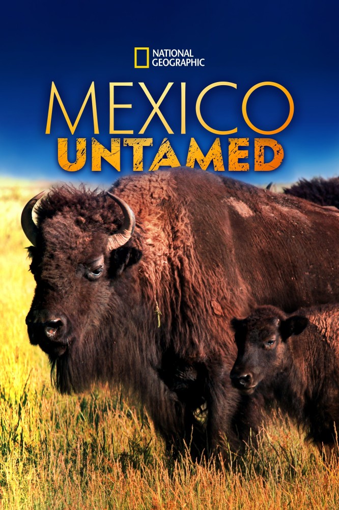 Mexico Untamed Season 1 (Episode 1 Added)