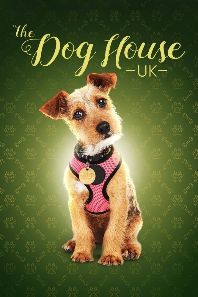 The Dog House Season 9 (Complete)