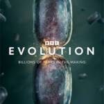 Evolution (2026) Season 1 (Complete)